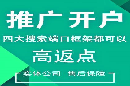 竞价排名在搜索引擎营销中的运用案例